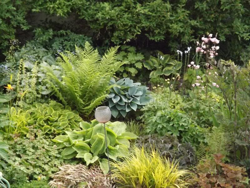  photo 6-8to6-14-13090_zps376e7c7a.jpg